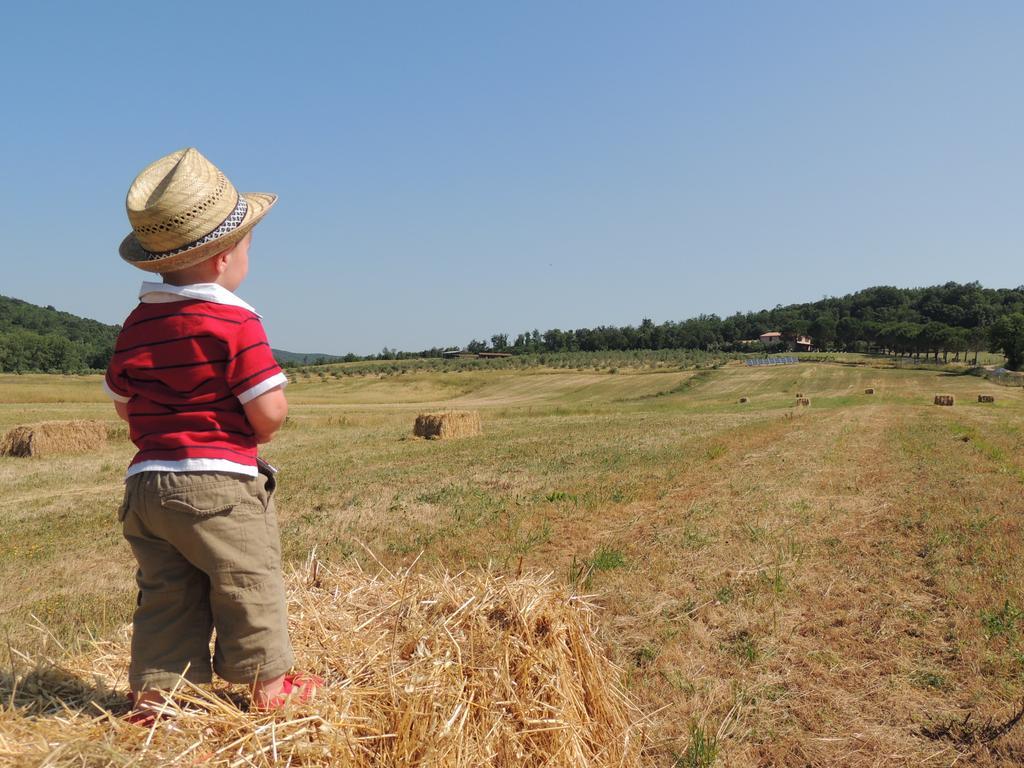Agriturismo Podere Borgognano Масса-Мариттіма Екстер'єр фото