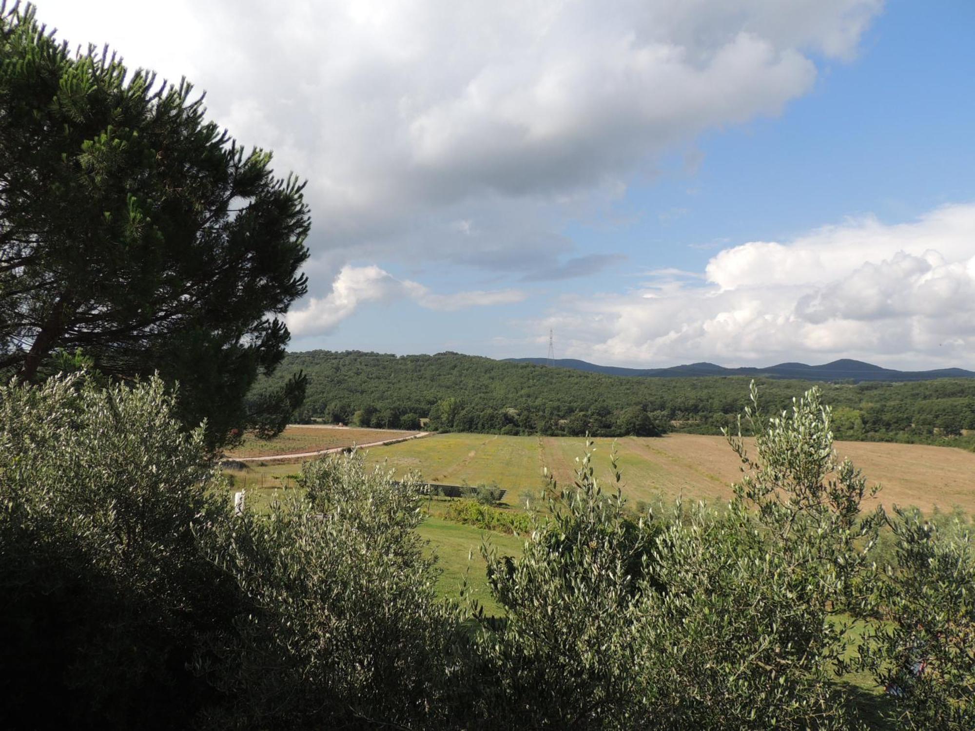 Agriturismo Podere Borgognano Масса-Мариттіма Номер фото