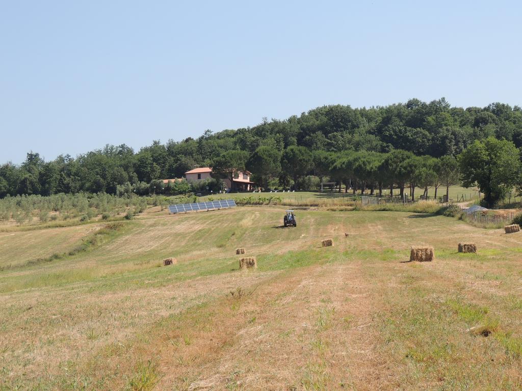 Agriturismo Podere Borgognano Масса-Мариттіма Екстер'єр фото
