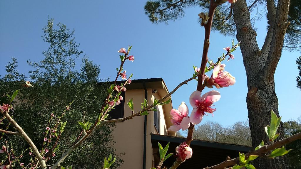 Agriturismo Podere Borgognano Масса-Мариттіма Екстер'єр фото