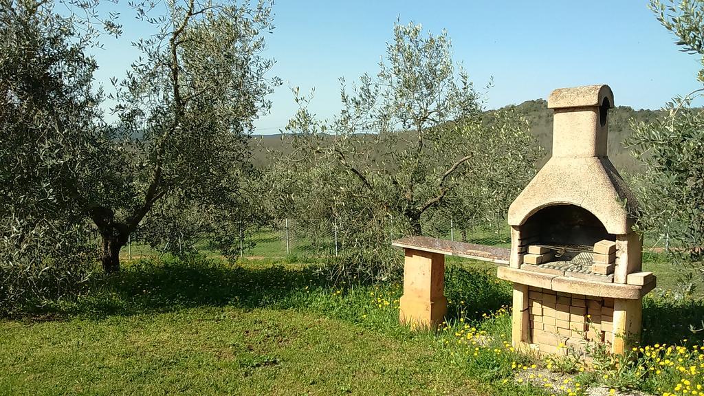 Agriturismo Podere Borgognano Масса-Мариттіма Екстер'єр фото