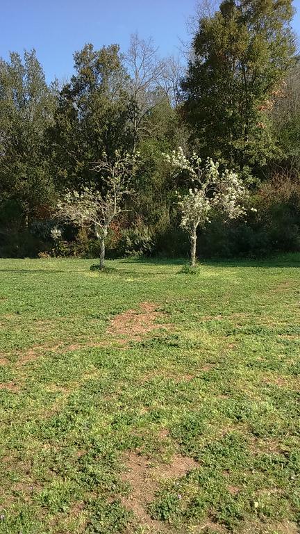 Agriturismo Podere Borgognano Масса-Мариттіма Екстер'єр фото