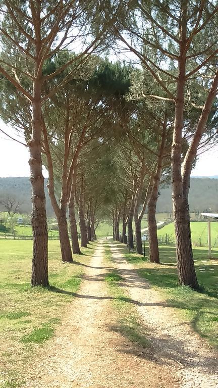 Agriturismo Podere Borgognano Масса-Мариттіма Екстер'єр фото