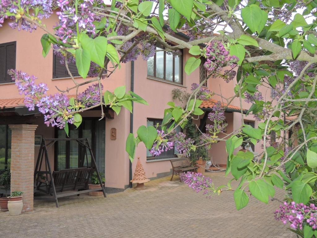 Agriturismo Podere Borgognano Масса-Мариттіма Екстер'єр фото