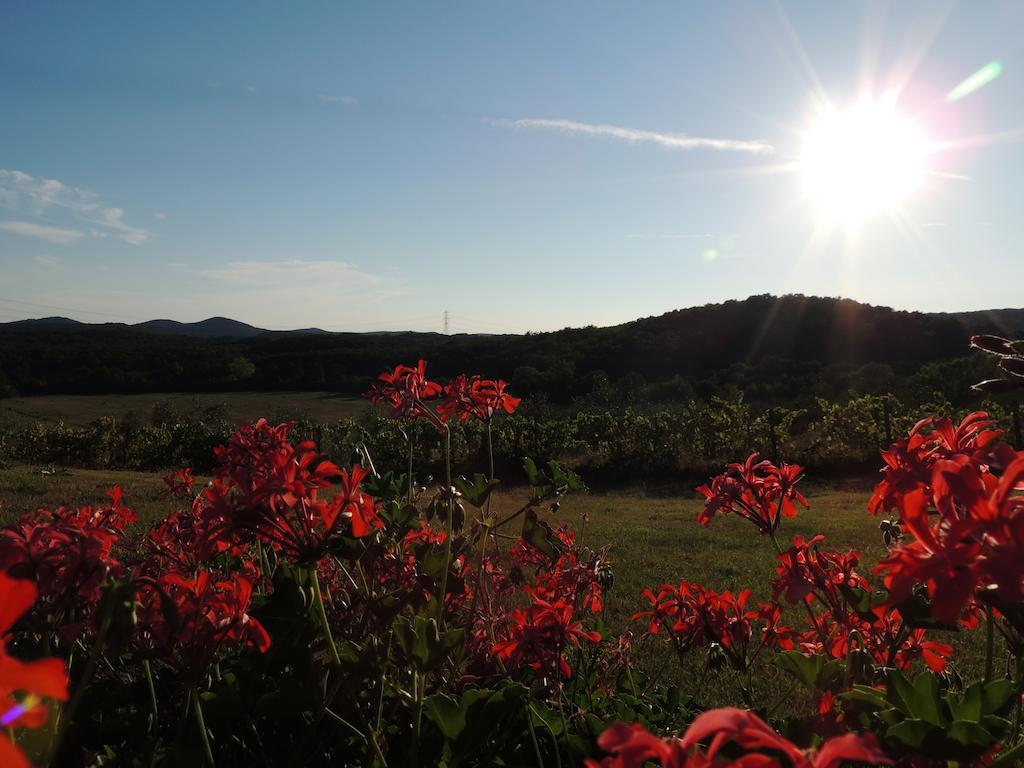 Agriturismo Podere Borgognano Масса-Мариттіма Екстер'єр фото