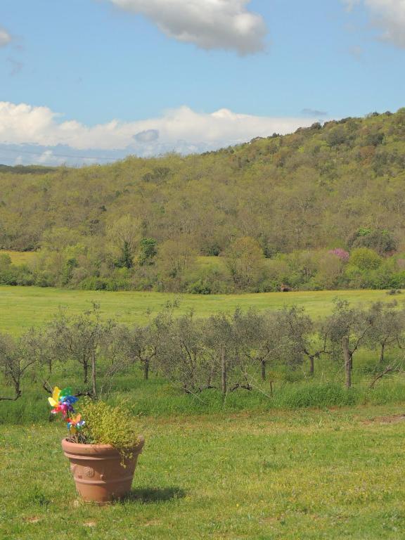 Agriturismo Podere Borgognano Масса-Мариттіма Екстер'єр фото